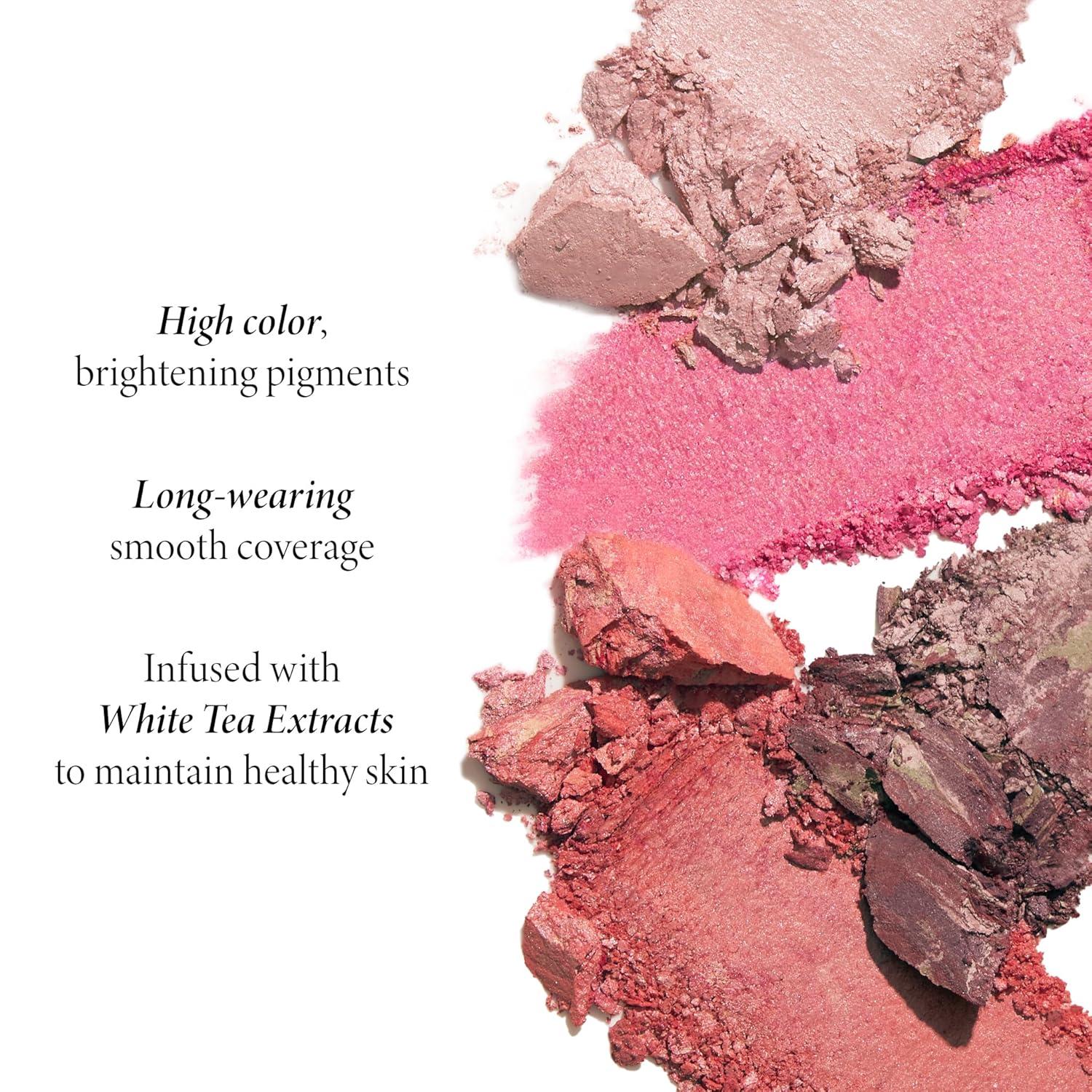 imageLAURA GELLER NEW YORK Daily Routine Kit 4 PC Baked BalancenBrighten Foundation Sand  Retractable Kabuki Brush  BlushnBrighten Tropic Hues  Original Baked Highlighter French Vanilla06 Sand  Tropic Hues  French Vanilla