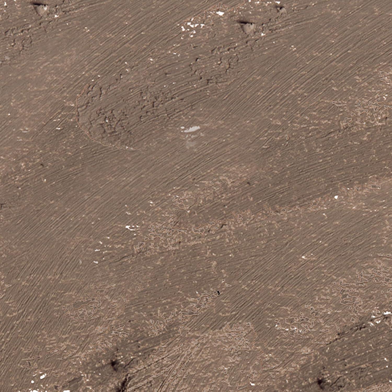 imageLAURA GELLER NEW YORK DefinenTame Brow Lifting Stick  Laminated Full Brows  Wax  Medium Brown02 Taupe