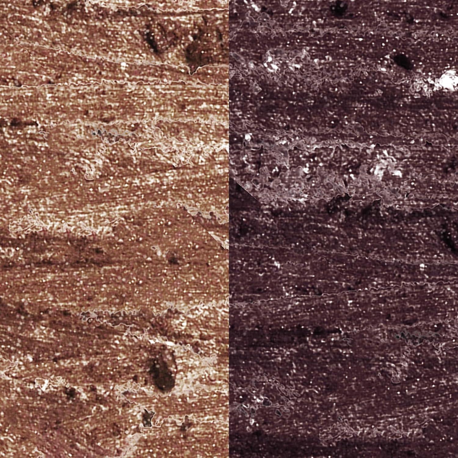 imageLAURA GELLER NEW YORK Kajal Longwear Kohl Eyeliner Pencil Duo  Deep Black ampamp Smoky Taupe  Caffeine and Vitamin E  Smooth ampamp Blendable Liner  BuiltIn SharpenerDark Brown  Smoky Amethyst